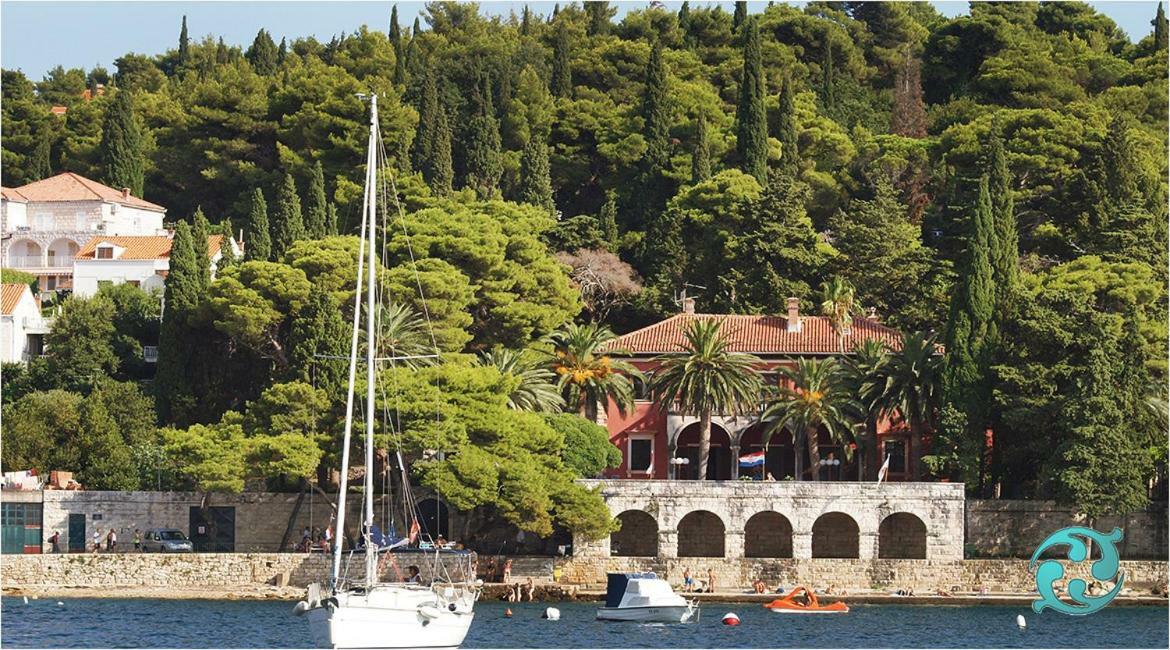 Luxury Apartment Antonija-Old Town Cavtat Ngoại thất bức ảnh